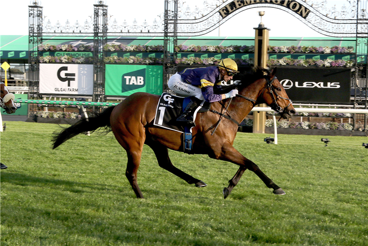 WAR MACHINE winning the Gilgai Stakes