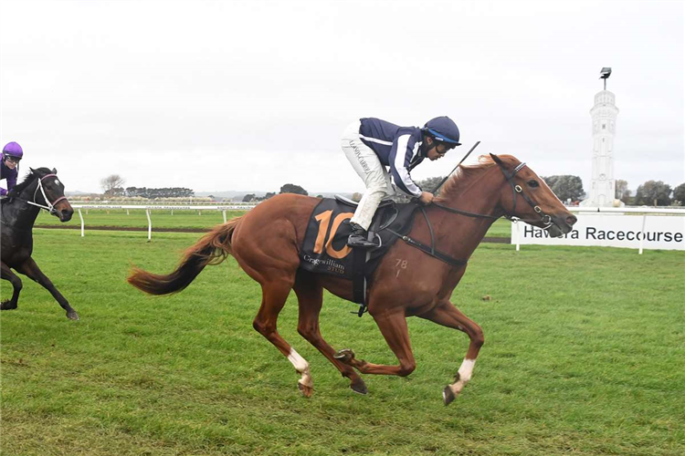 WAR QUEEN winning the GRANGEWILLIAM STUD
