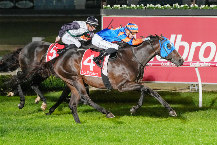 We're under lights at Cranbourne on Friday.