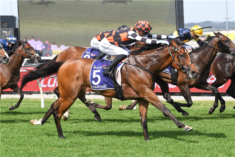 WARNIE winning the Ladbrokes Supernova at Pakenham in Australia.
