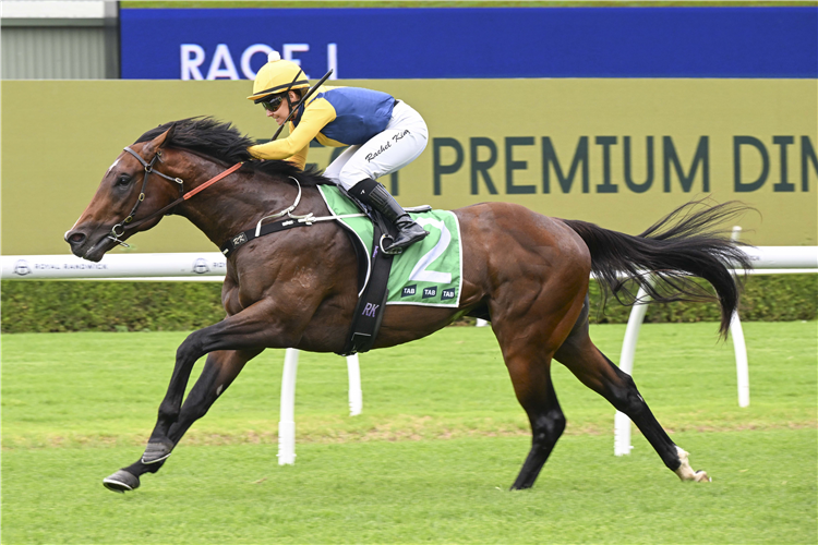 WARWOVEN winning the TAB PLATE
