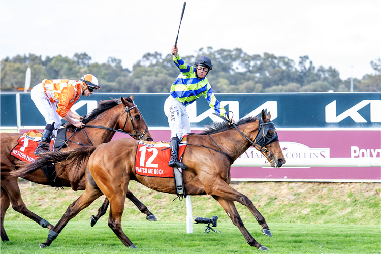 WATCH ME ROCK winning the Swan Draught