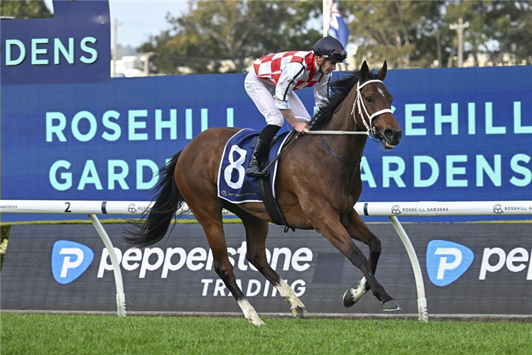 WATERFORD winning the CANADIAN CLUB SHANNON STAKES at Rosehill in Australia.