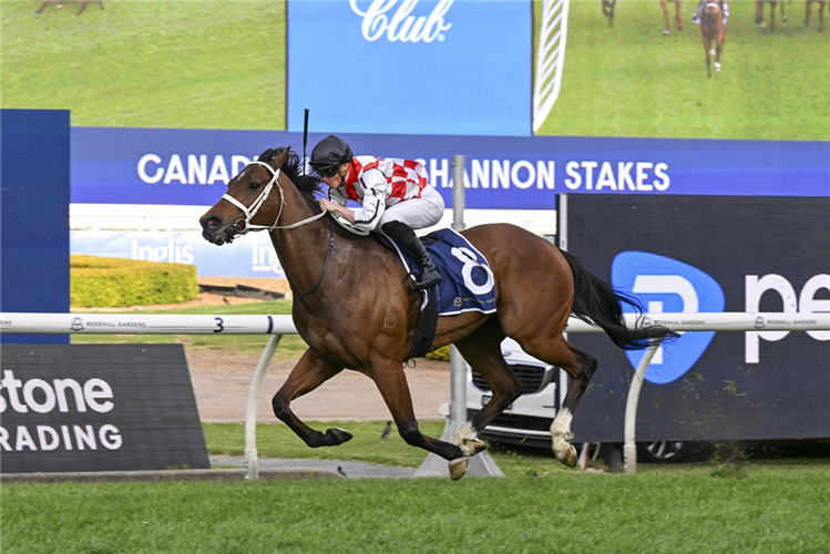 WATERFORD winning the CANADIAN CLUB SHANNON STAKES at Rosehill in Australia.