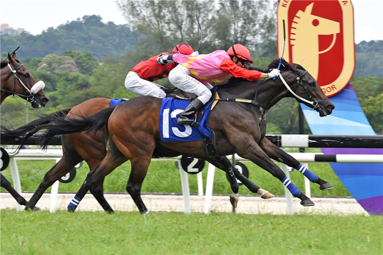 WEALTHYNESS winning the Aug 24 2025 Selangor Meeting