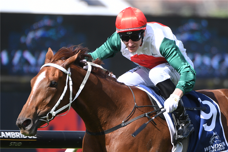 WELL WRITTEN winning the WINDSOR PARK STUD SOLILOQUY STAKES
