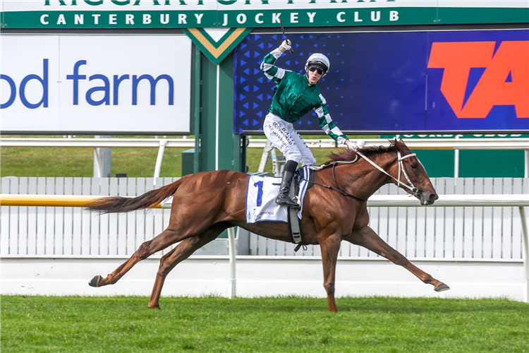 WELL WRITTEN winning the BARNESWOOD FARM 53RD NEW ZEALAND 1000 GUINEAS