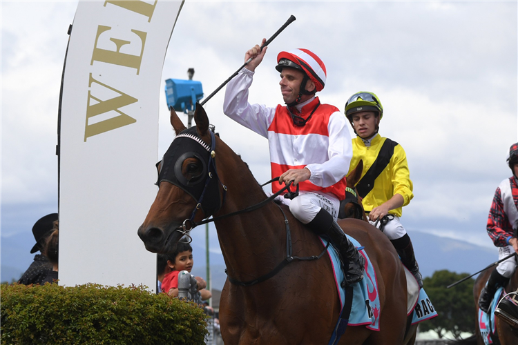 WHANGAEHU winning the LIFE DIRECT TRENTHAM STAKES