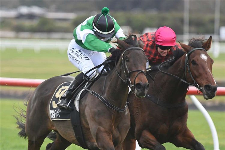 WHO KNOWS winning the JOHN TURKINGTON FORESTRY / WAIPINE LOGGING BULLS COUNTRY CUP