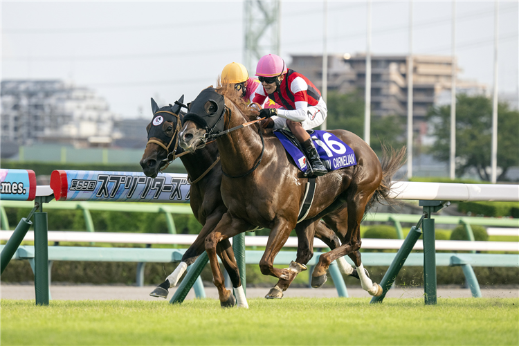 WIN CARNELIAN winning the THE SPRINTERS STAKES