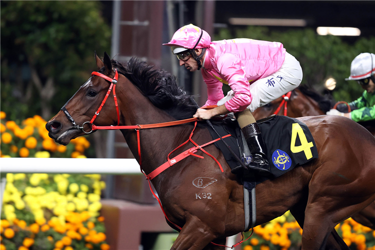 WINGS OF WAR winning the CONNAUGHT HANDICAP