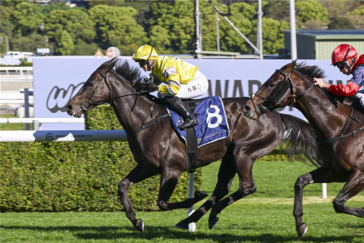 WITH YOUR BLESSING winning the BILL RITCHIE HANDICAP at Randwick in Australia.