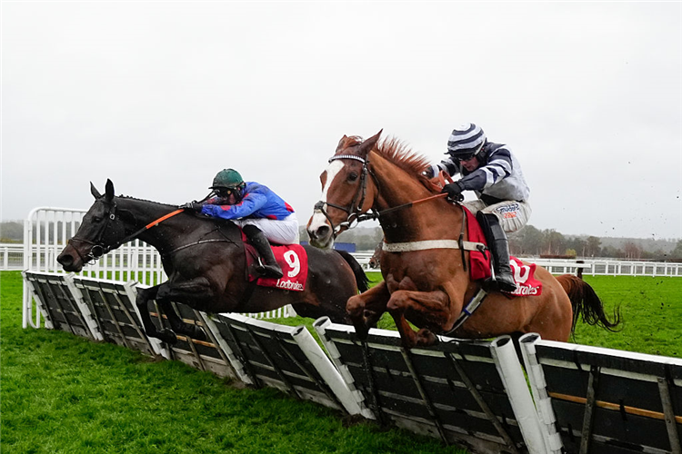WODHOOH (blue silks) winning the Ascot Hurdle at Ascot in England.