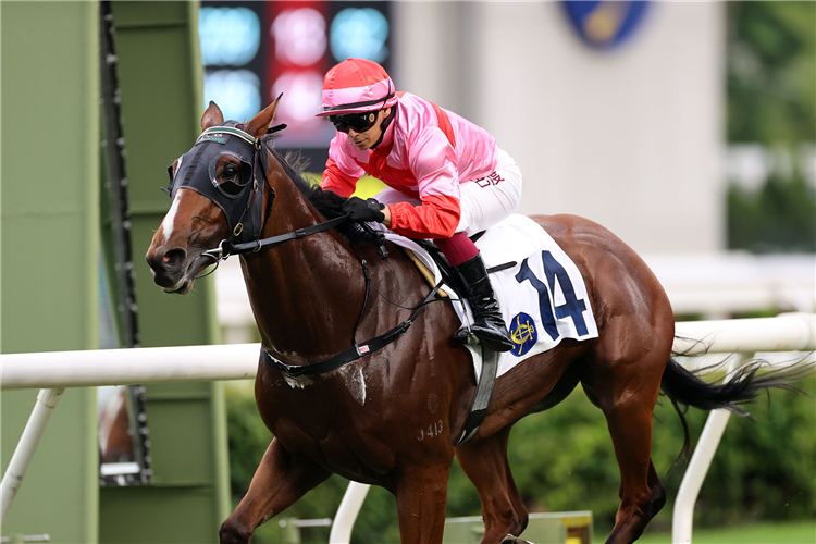 WORLD HERO winning the SHA TIN CLUBHOUSE 1400M HANDICAP