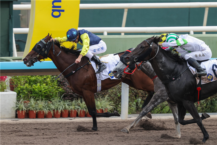 YODA'S CHOICE winning the TUNG CHUNG HANDICAP