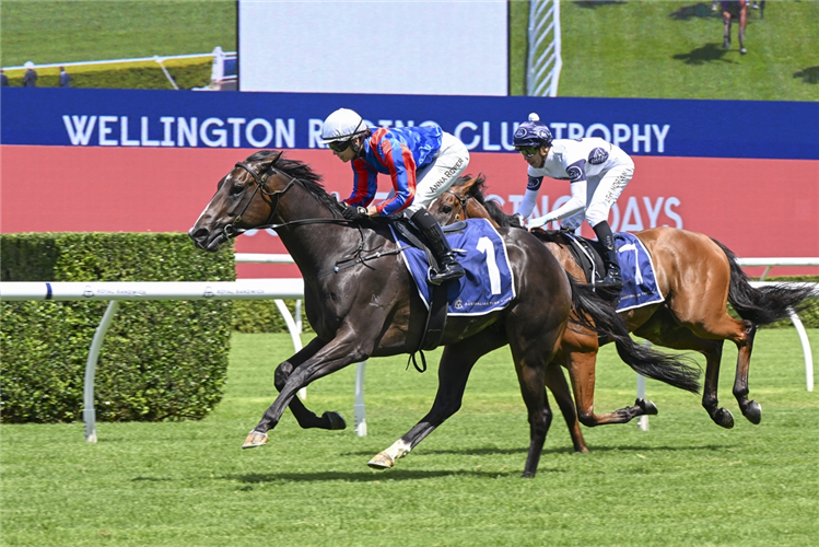 YORKSHIRE winning the Wellington Racing Club Trophy at Randwick in Australia
