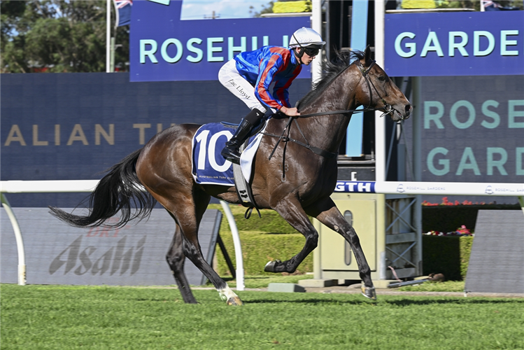 「约克夏」胜出节日锦标赛
