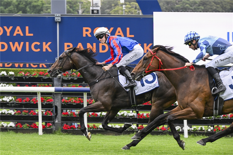 YORKSHIRE winning the THE INGHAM at Randwick in Australia.