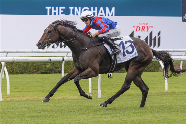 YORKSHIRE winning the THE INGHAM at Randwick in Australia.