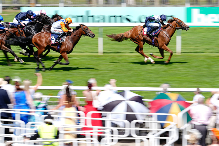 ZAVATERI winning the July Stakes at Newmarket in England.
