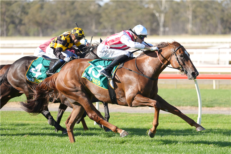ZLOTIES winning the Catanach?s Jewellers Bendigo Gold Bracelet at Bendigo in Australia.
