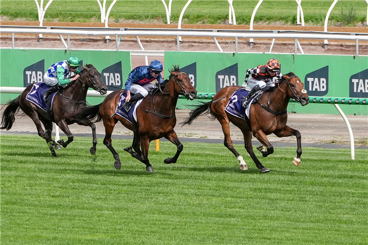 Zou Sensation winning the Kensington Stakes.