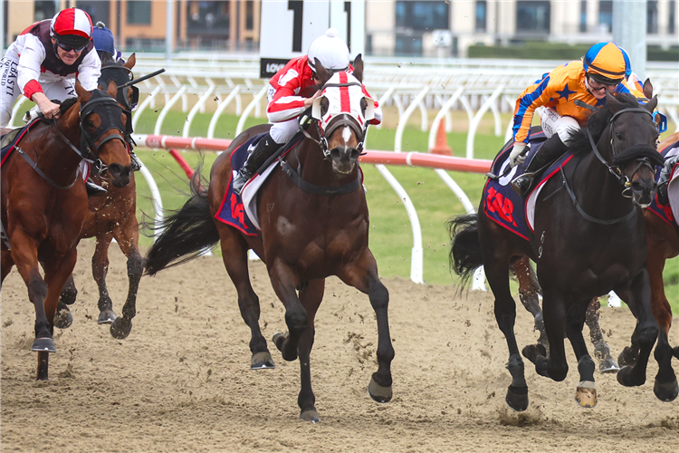 ZOULANDER winning the JOIN TAB RACING CLUB RATING 75