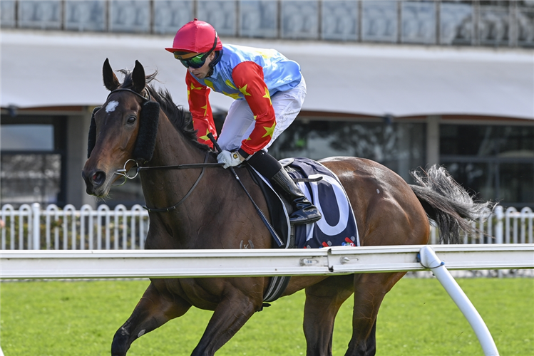 Jockey : ANDREW ADKINS after winning the MIDWAY HANDICAP at Rosehill in Australia.