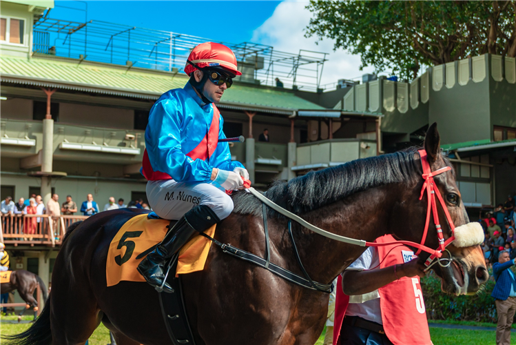 Jockey : MANOEL NUNES.