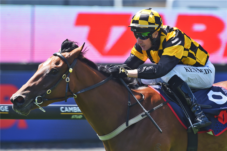 Warren Kennedy guides Lucy In The Sky to a debut victory at Ellerslie