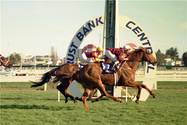 The late Ian Boyland enjoyed racing a number of horses, including Group Three performer Young Pirate, who contested the Gr.1 Melbourne Cup (3200m).