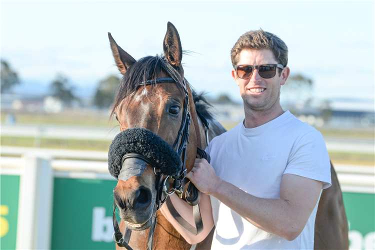 Joe Waldron is training a team of horses out of Wingatui