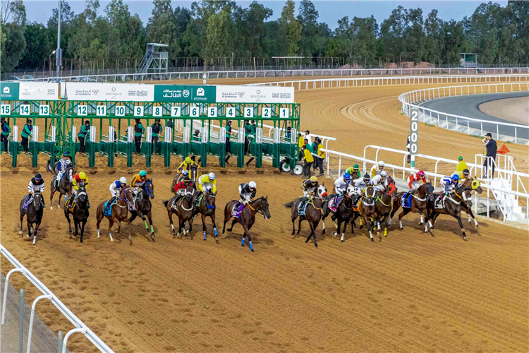 King Khalid Racecourse, Taif