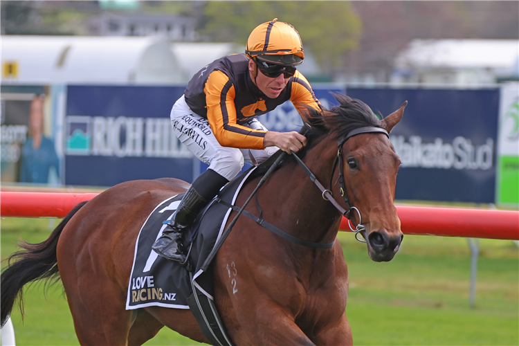 Places To Be winning the Prezzy Card Northern Country Cups Series (1300m) at Taupo on Wednesday