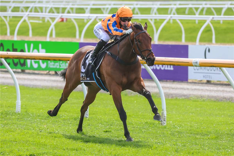 Out Of The Blue winning on debut at Riccarton