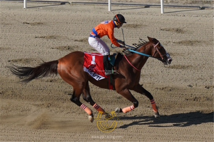Varatti and Jeff Zarate win the E D Cojuangco Cup