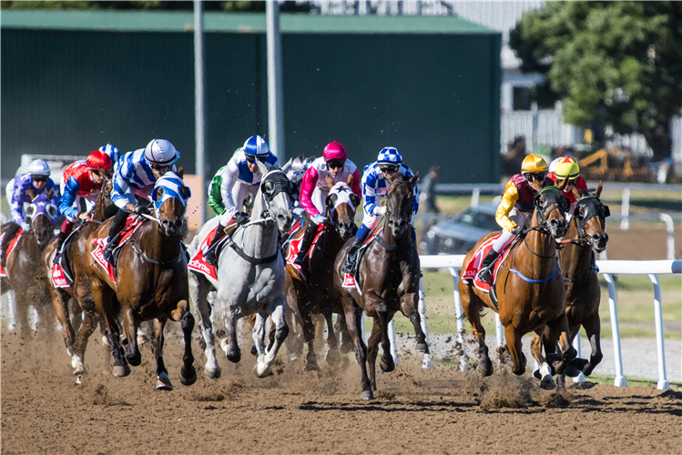 The Devonport Cup.