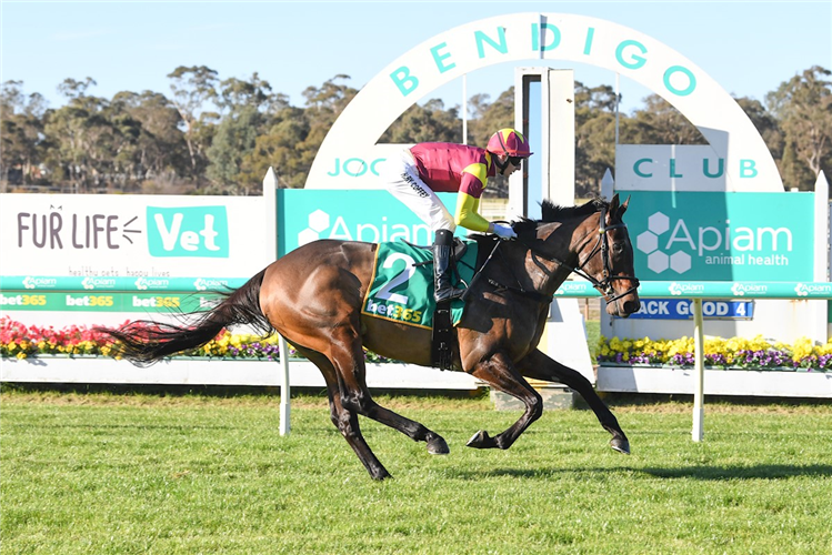 Fieldelo has made a very promising start to her career.