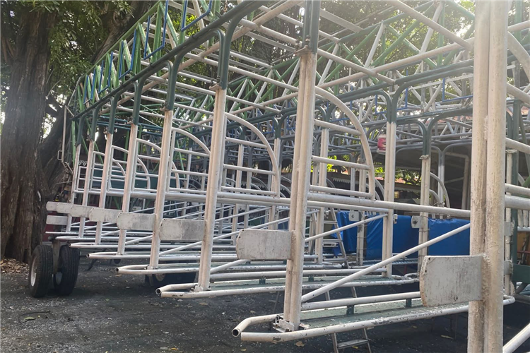 Horse Racing Starting Gate