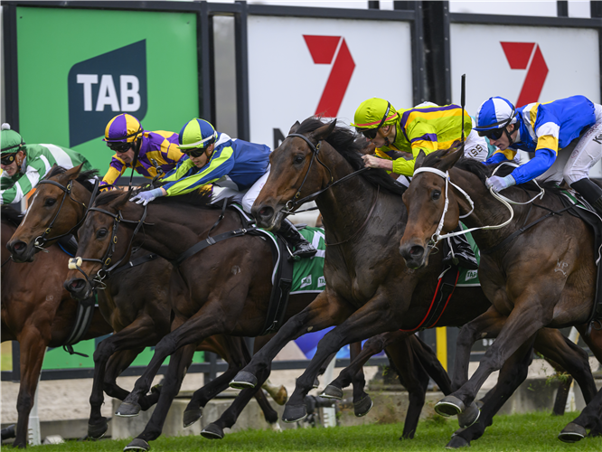 Racing at Ipswich
