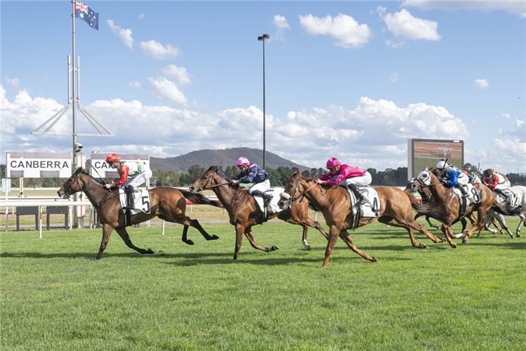 Kintyre secures the 2025 Canberra Community Chest.