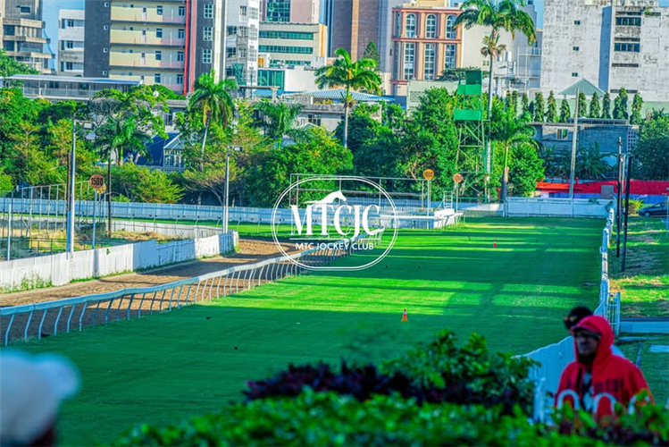 Mauritius racecourse.