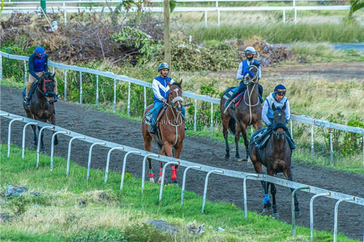 Mauritius Turf Club - stock image.