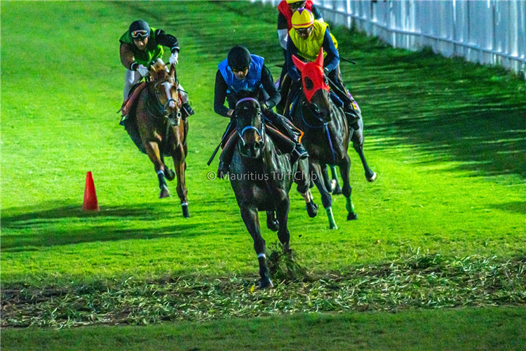 Mauritius Turf Club - stock image.
