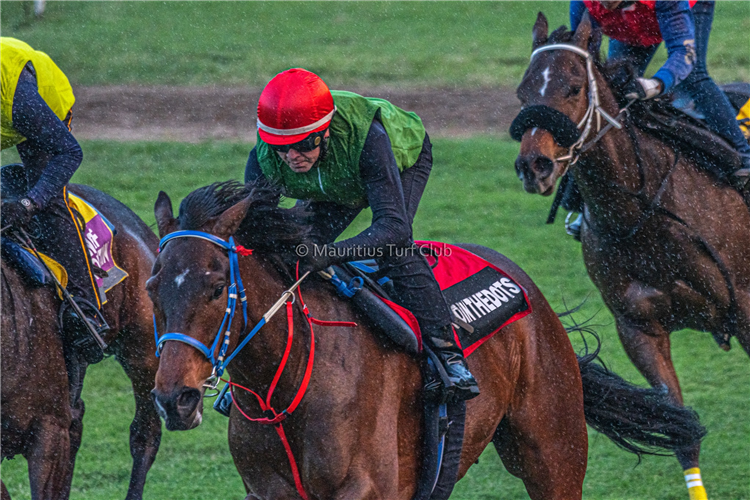 Mauritius Turf Club BT