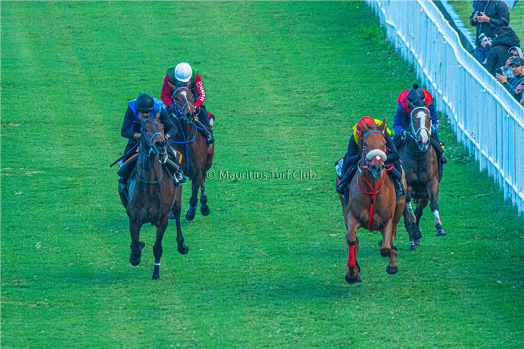Mauritius Turf Club BT