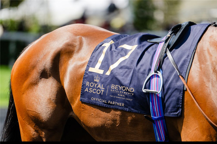 Royal Ascot - BEYOND Developments.