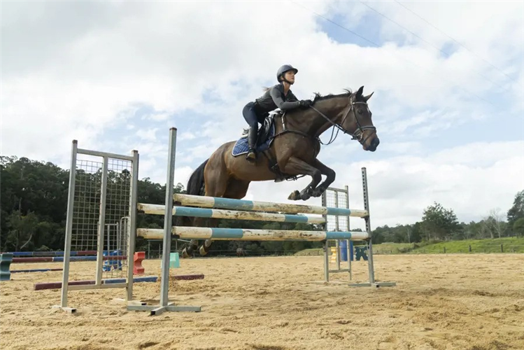 Danielle Hess with retired thoroughbred Refero.