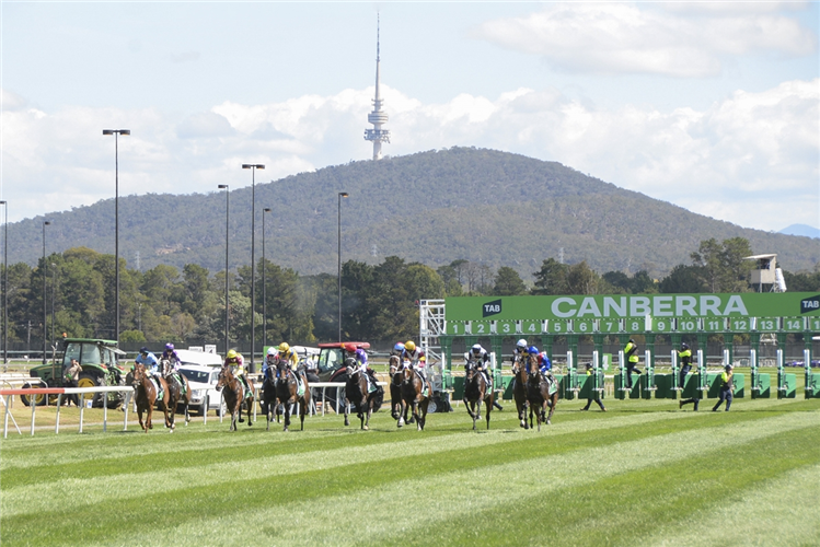 Racecourse: Canberra.