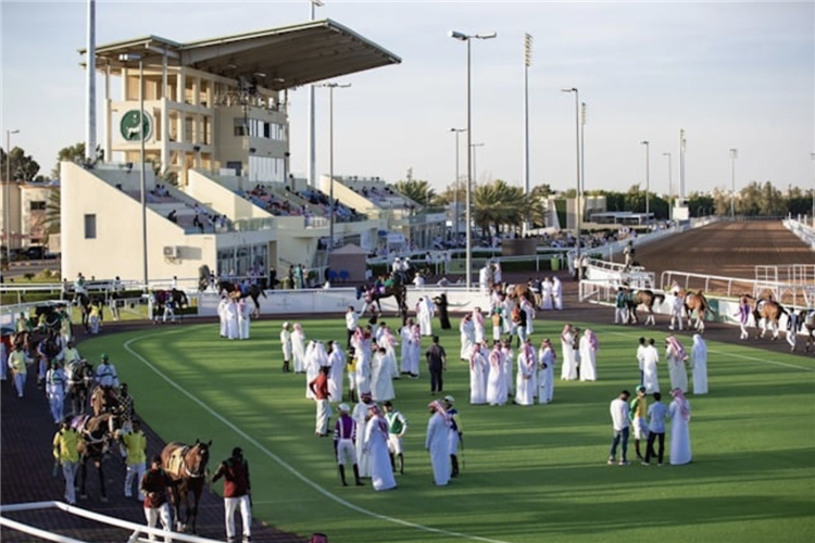Taif Racecourse in Saudi Arabia